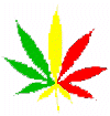 ganjaleaf